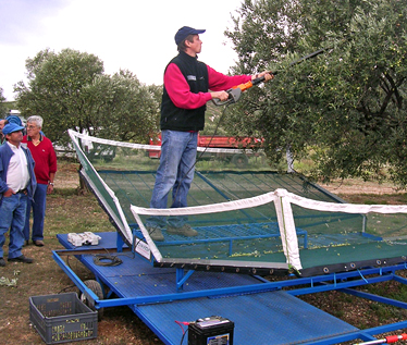 Démonstration de la nacelle Novaxion aux salons professionnels Oleiculture 