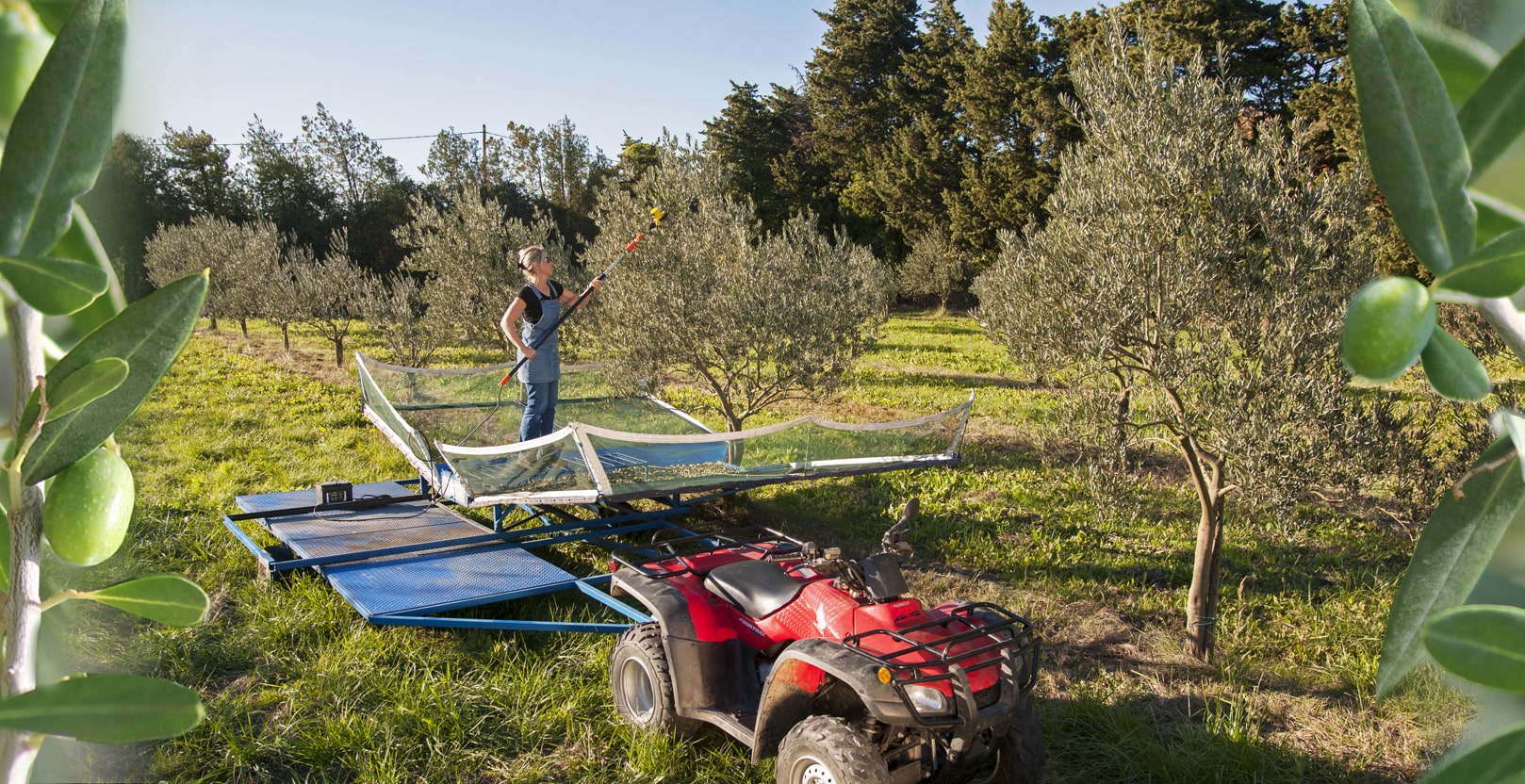 Vente en ligne : assistants de récolte des olives. Voir le catalogue
